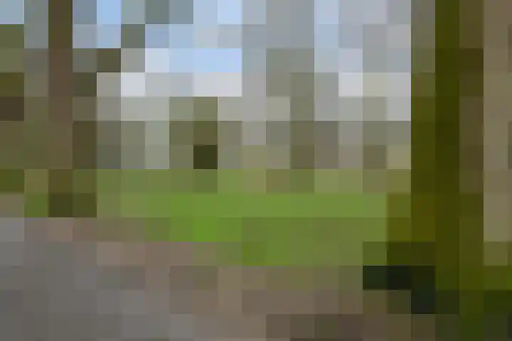 Rubenslaan 63 2 Utrecht thumbnail 28