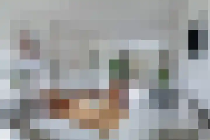 Rubenslaan 63 2 Utrecht thumbnail 4