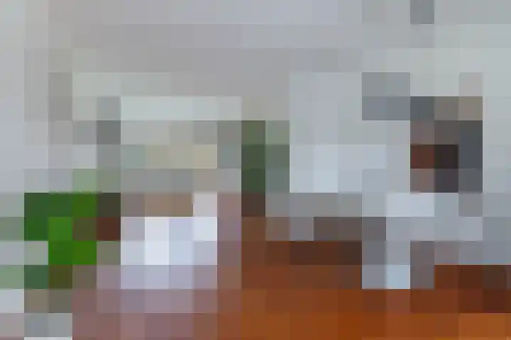Rubenslaan 63 2 Utrecht thumbnail 6