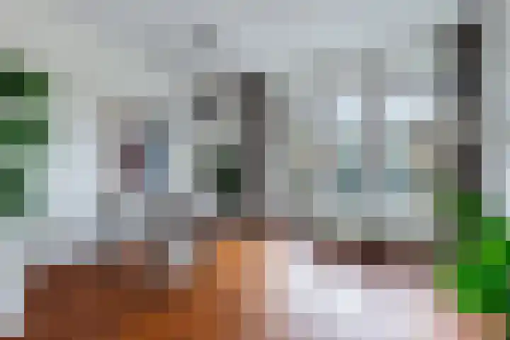 Rubenslaan 63 2 Utrecht thumbnail 8