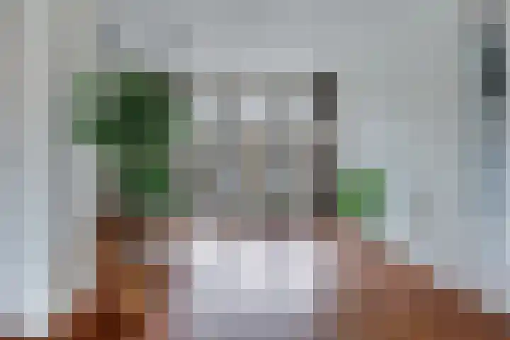 Rubenslaan 63 2 Utrecht thumbnail 9