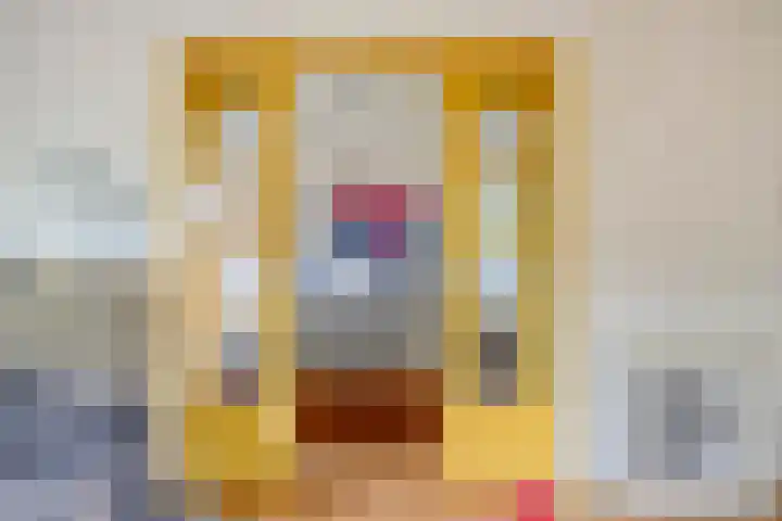 Rubenslaan 65 3 Utrecht thumbnail 13
