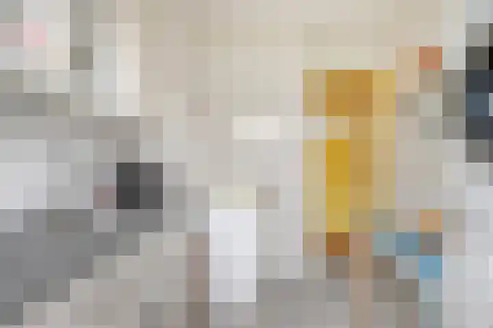 Rubenslaan 65 3 Utrecht thumbnail 17