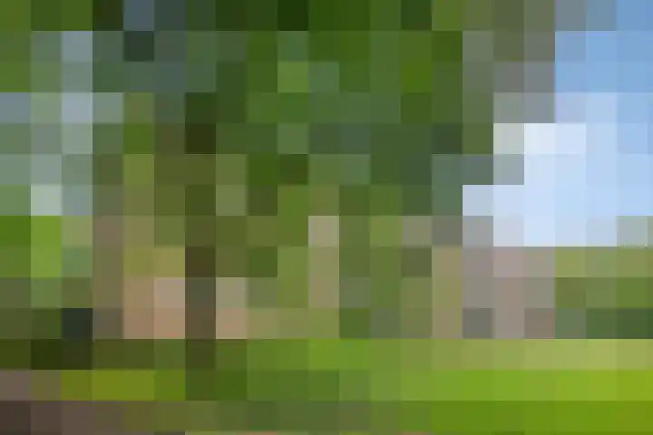 Rubenslaan 65 3 Utrecht thumbnail 24