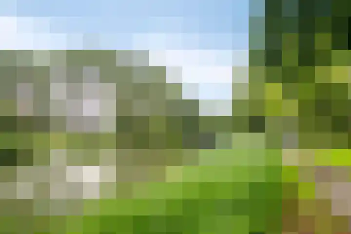 Rubenslaan 65 3 Utrecht thumbnail 26