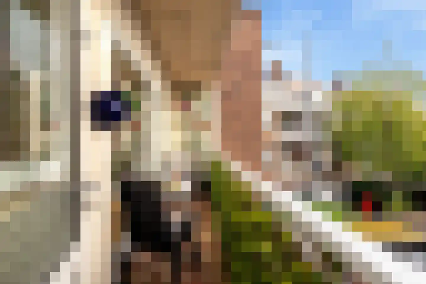 Rubenslaan 7 B Schiedam thumbnail 18