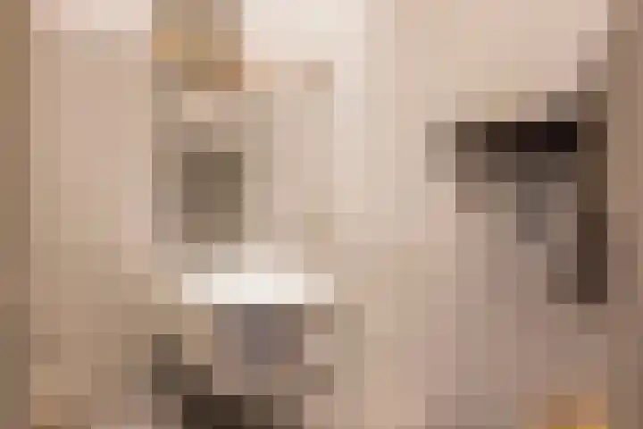 Rubenslaan 7 Nijkerk thumbnail 13