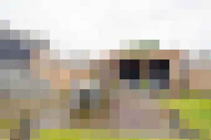 Rubenslaan 7 Nijkerk thumbnail 30
