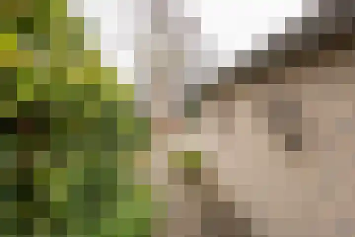 Rubenslaan 7 Nijkerk thumbnail 33