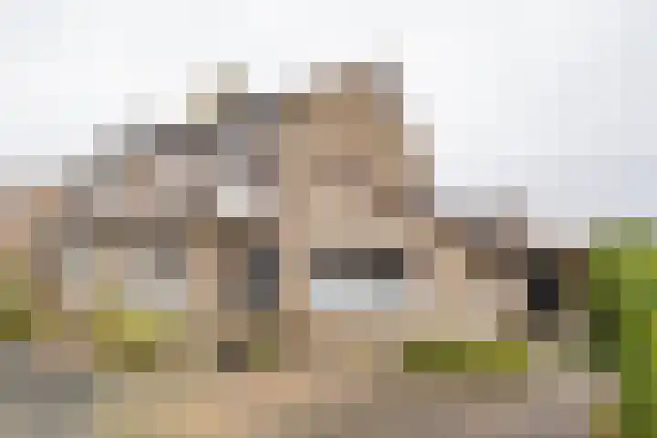 Rubenslaan 7 Nijkerk thumbnail 34