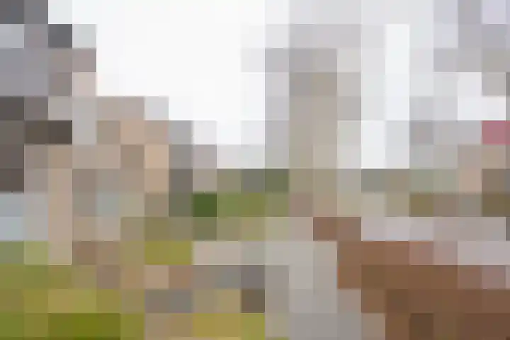 Rubenslaan 7 Nijkerk thumbnail 37
