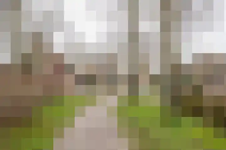 Rubenslaan 7 Nijkerk thumbnail 38