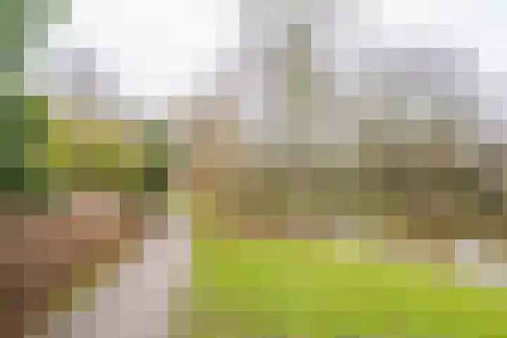 Rubenslaan 7 Nijkerk thumbnail 39