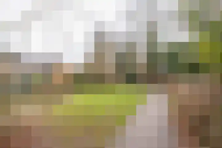 Rubenslaan 7 Nijkerk thumbnail 40