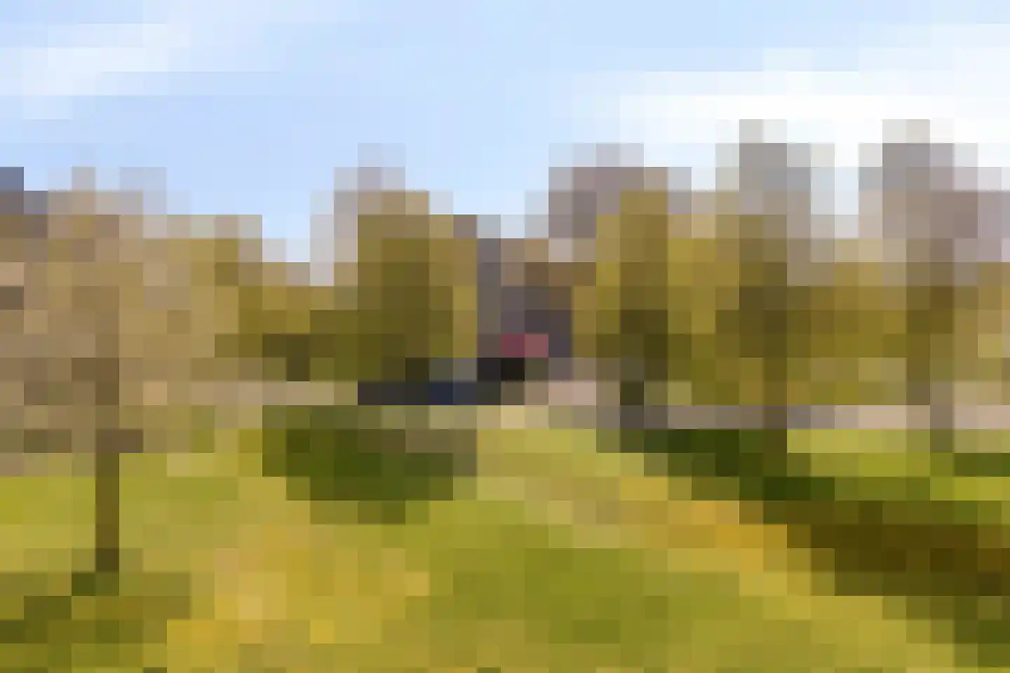 Rubenslaan 70 Soest thumbnail 20