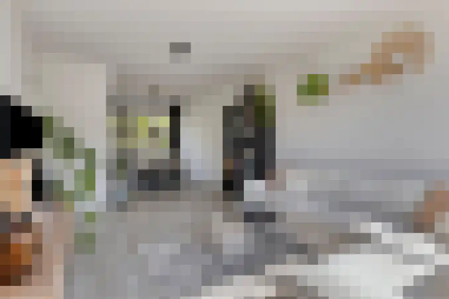 Rubenslaan 70 Soest thumbnail 5