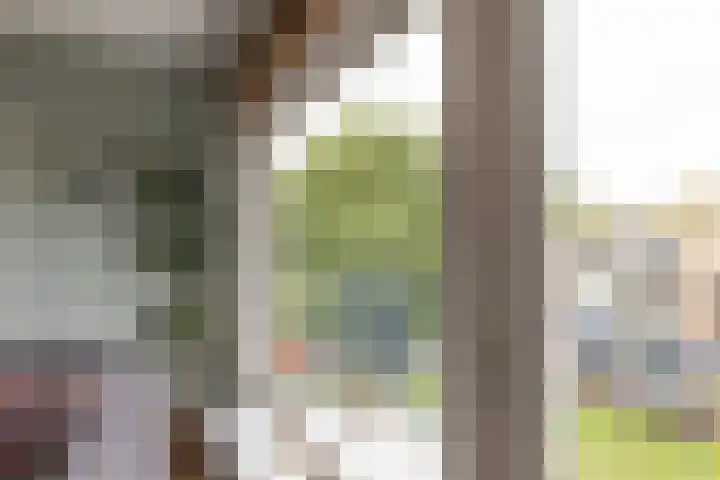 Rubenslaan 71 2 Utrecht thumbnail 20
