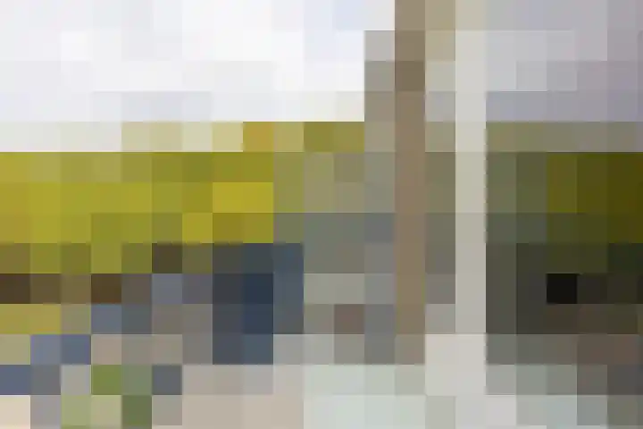 Rubenslaan 71 2 Utrecht thumbnail 23