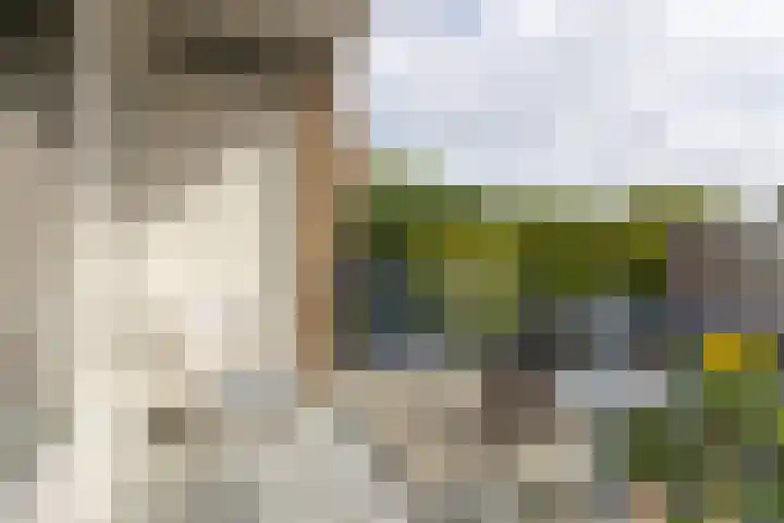 Rubenslaan 71 2 Utrecht thumbnail 29