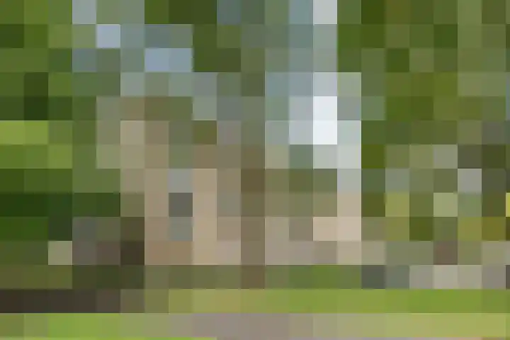 Rubenslaan 71 2 Utrecht thumbnail 38
