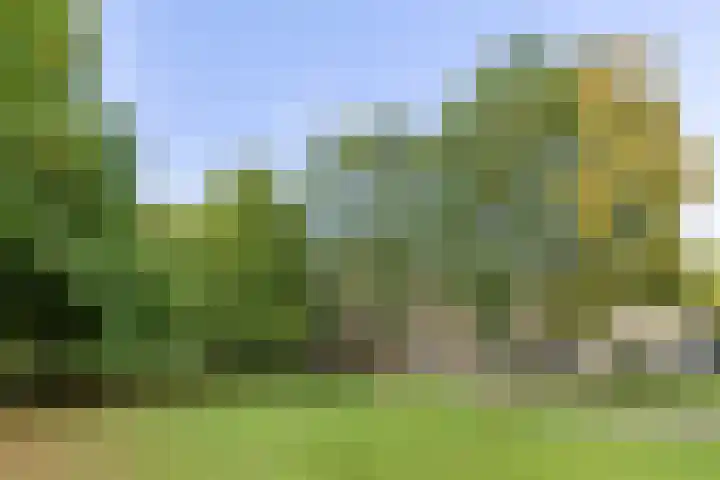 Rubenslaan 71 2 Utrecht thumbnail 39