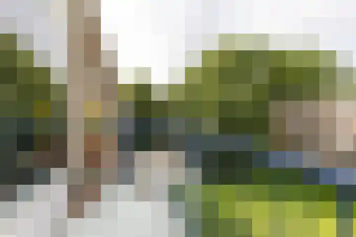 Rubenslaan 71 2 Utrecht thumbnail 4