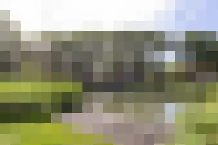 Rubenslaan 71 2 Utrecht thumbnail 41