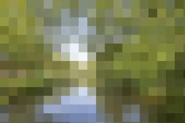 Rubenslaan 71 2 Utrecht thumbnail 42