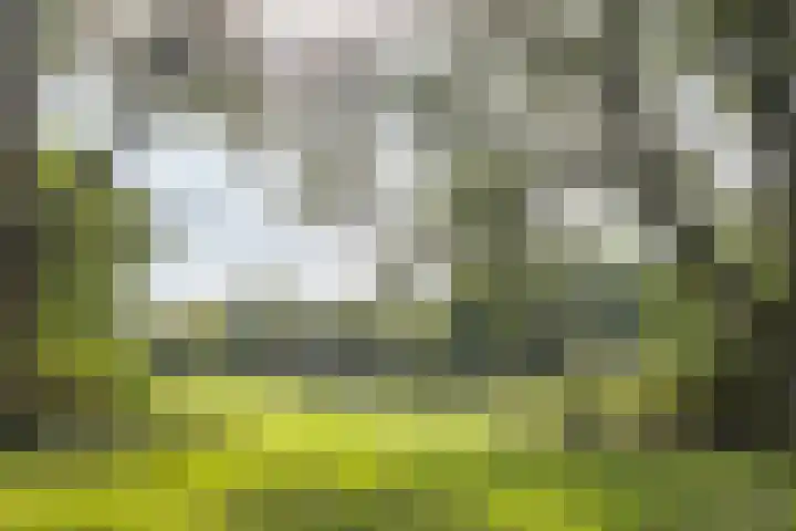 Rubenslaan 71 2 Utrecht thumbnail 43