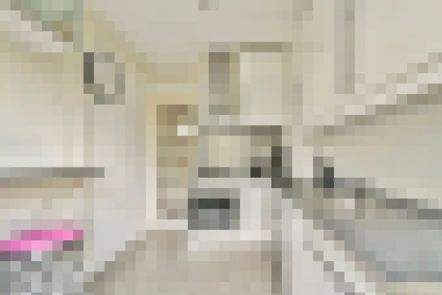 Rubenslaan 75 2 Utrecht thumbnail 16