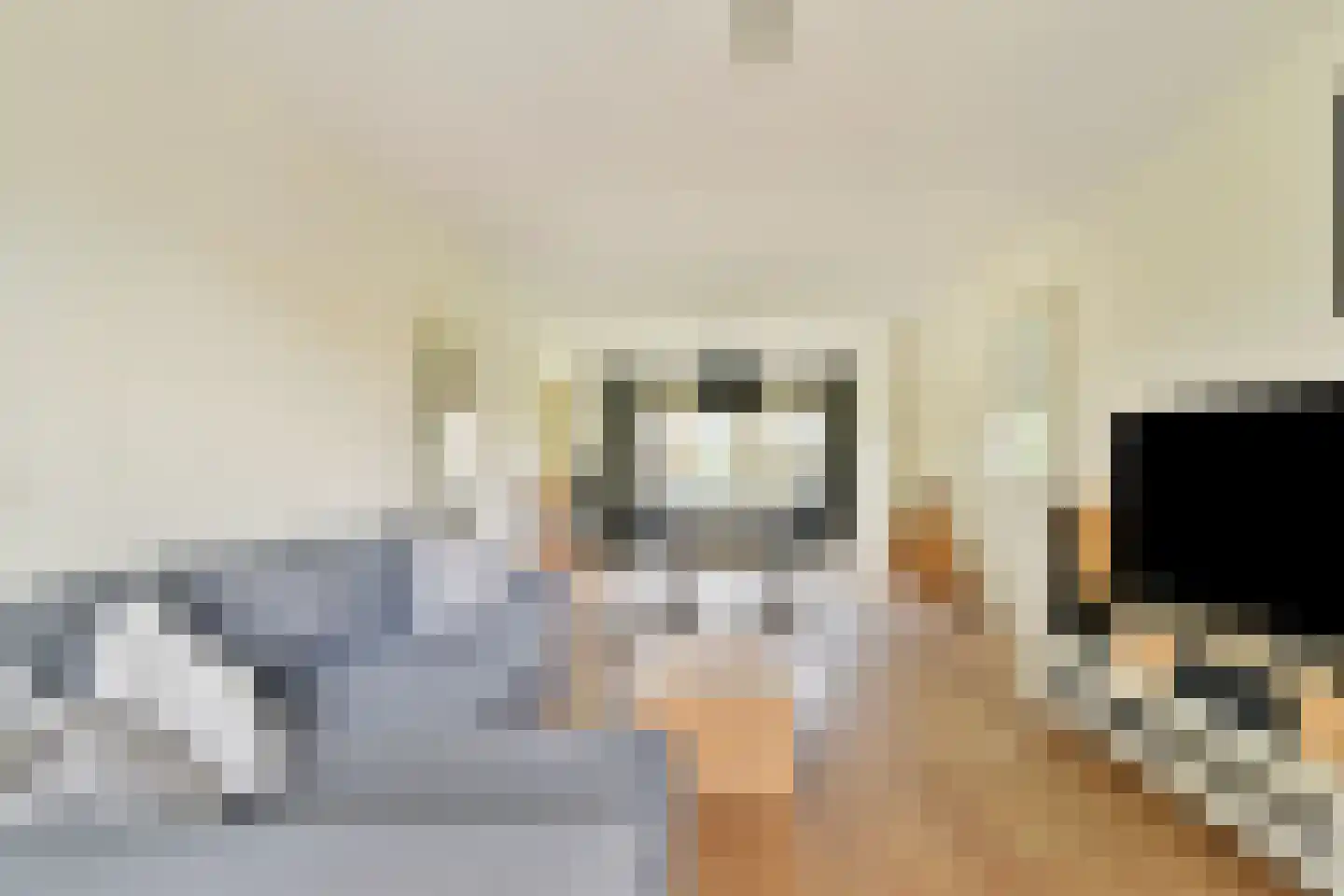 Rubenslaan 75 2 Utrecht thumbnail 4
