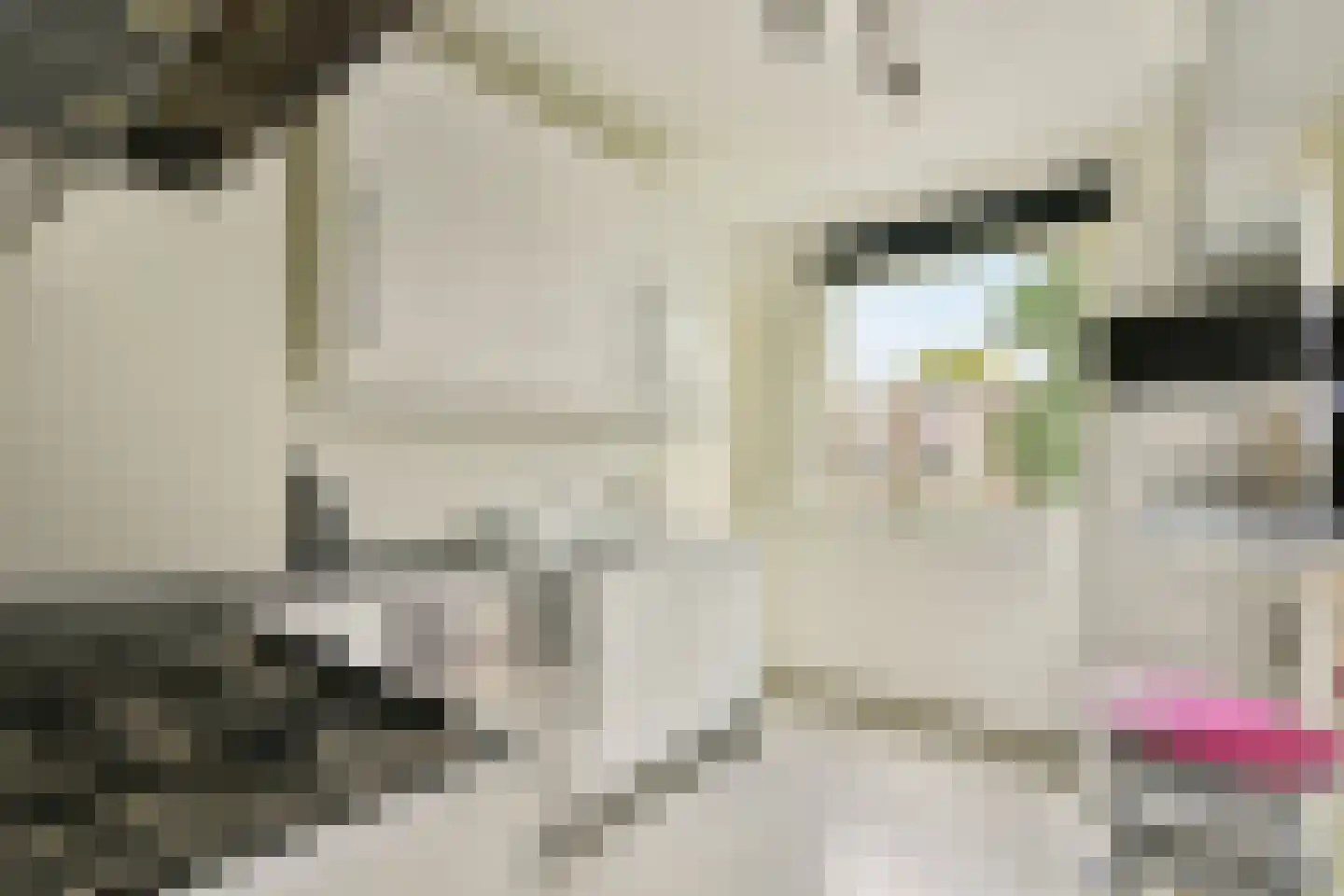 Rubenslaan 75 2 Utrecht thumbnail 5