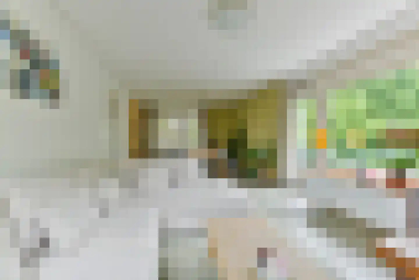Rubenslaan 77 1 Utrecht thumbnail 13