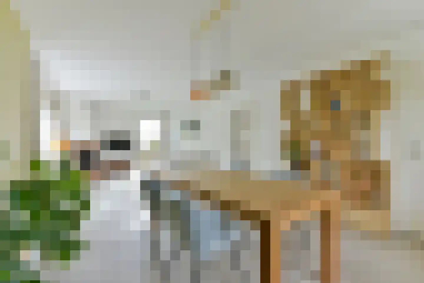 Rubenslaan 77 1 Utrecht thumbnail 16