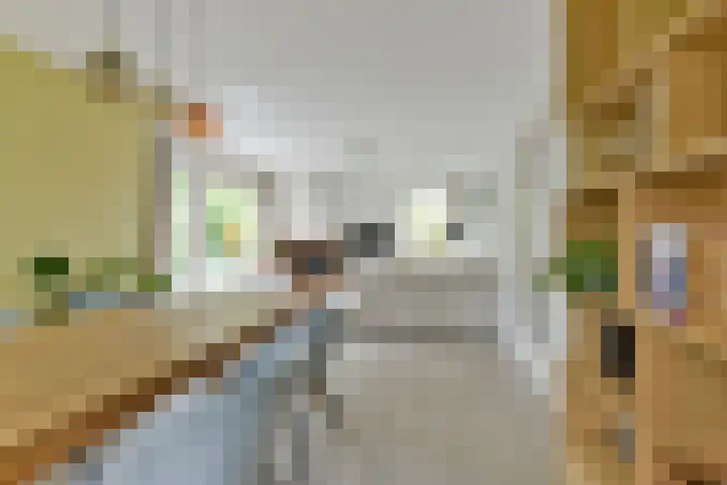 Rubenslaan 77 1 Utrecht thumbnail 23