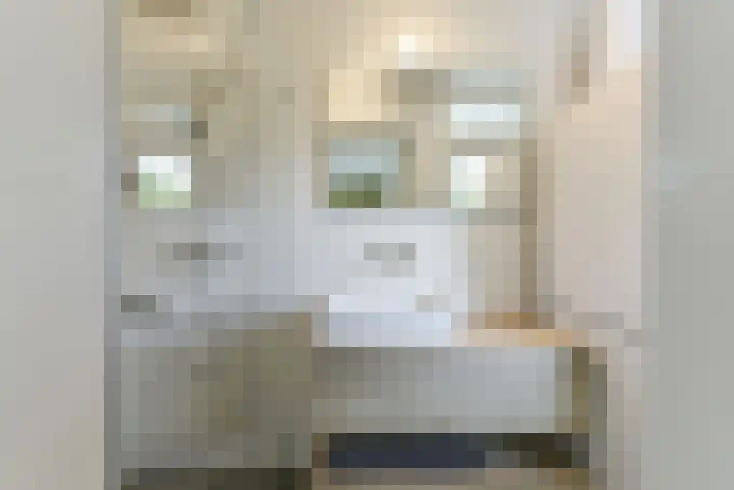 Rubenslaan 77 1 Utrecht thumbnail 35