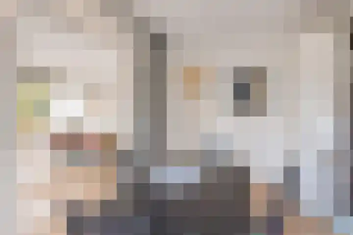 Rubenslaan 79 2 Utrecht thumbnail 13