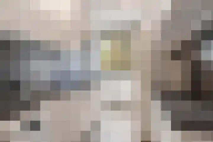 Rubenslaan 79 2 Utrecht thumbnail 15
