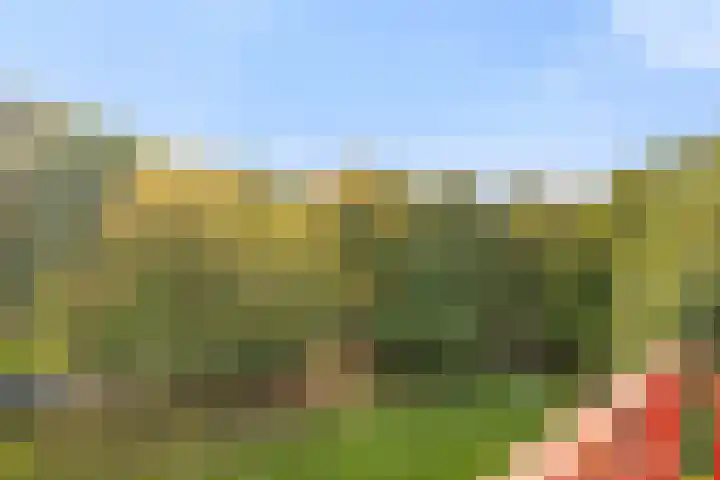 Rubenslaan 79 2 Utrecht thumbnail 26