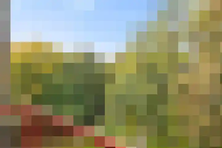 Rubenslaan 79 2 Utrecht thumbnail 27