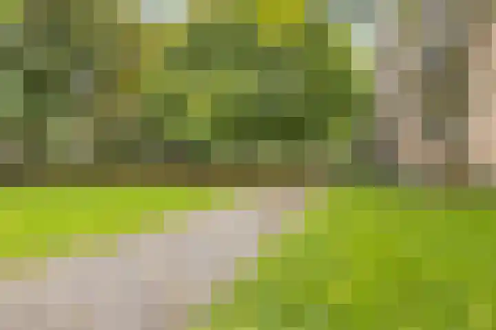 Rubenslaan 79 2 Utrecht thumbnail 32