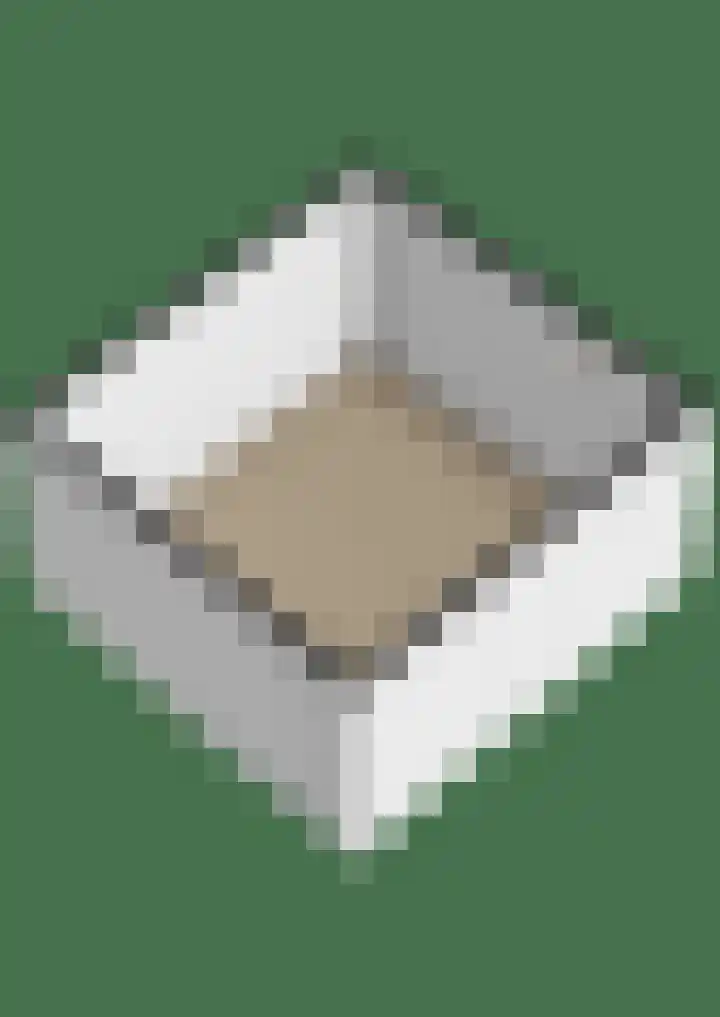 Rubenslaan 79 2 Utrecht thumbnail 39
