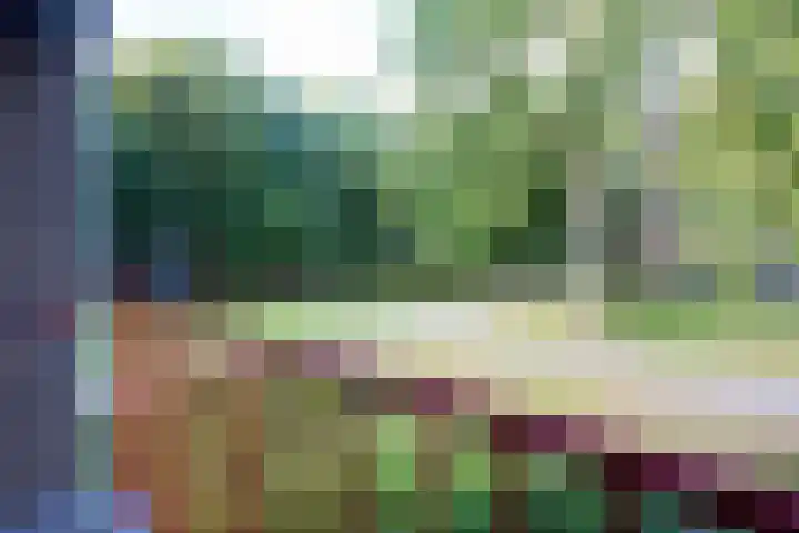 Rubenslaan 79 Utrecht thumbnail 23