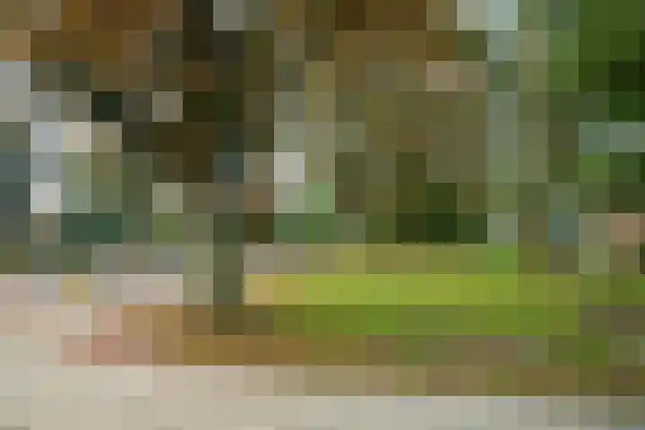 Rubenslaan 79 Utrecht thumbnail 35