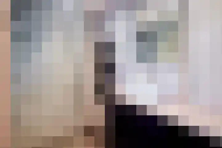 Rubenslaan 79 Utrecht thumbnail 4
