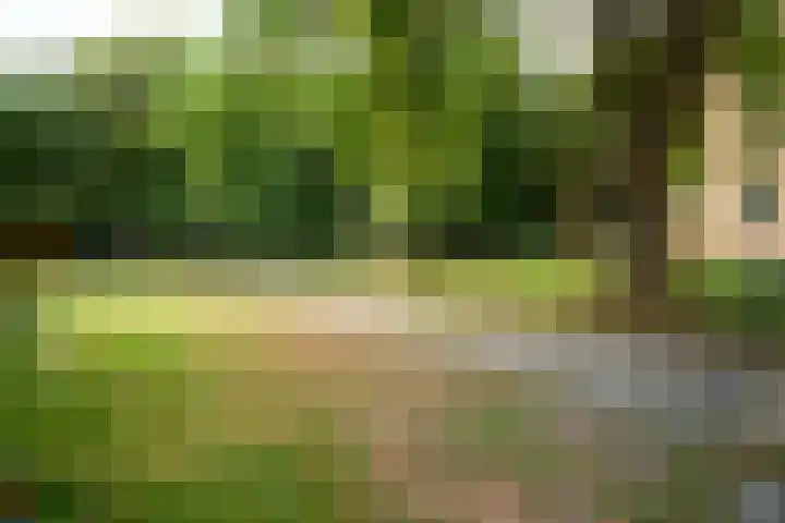 Rubenslaan 79 Utrecht thumbnail 40