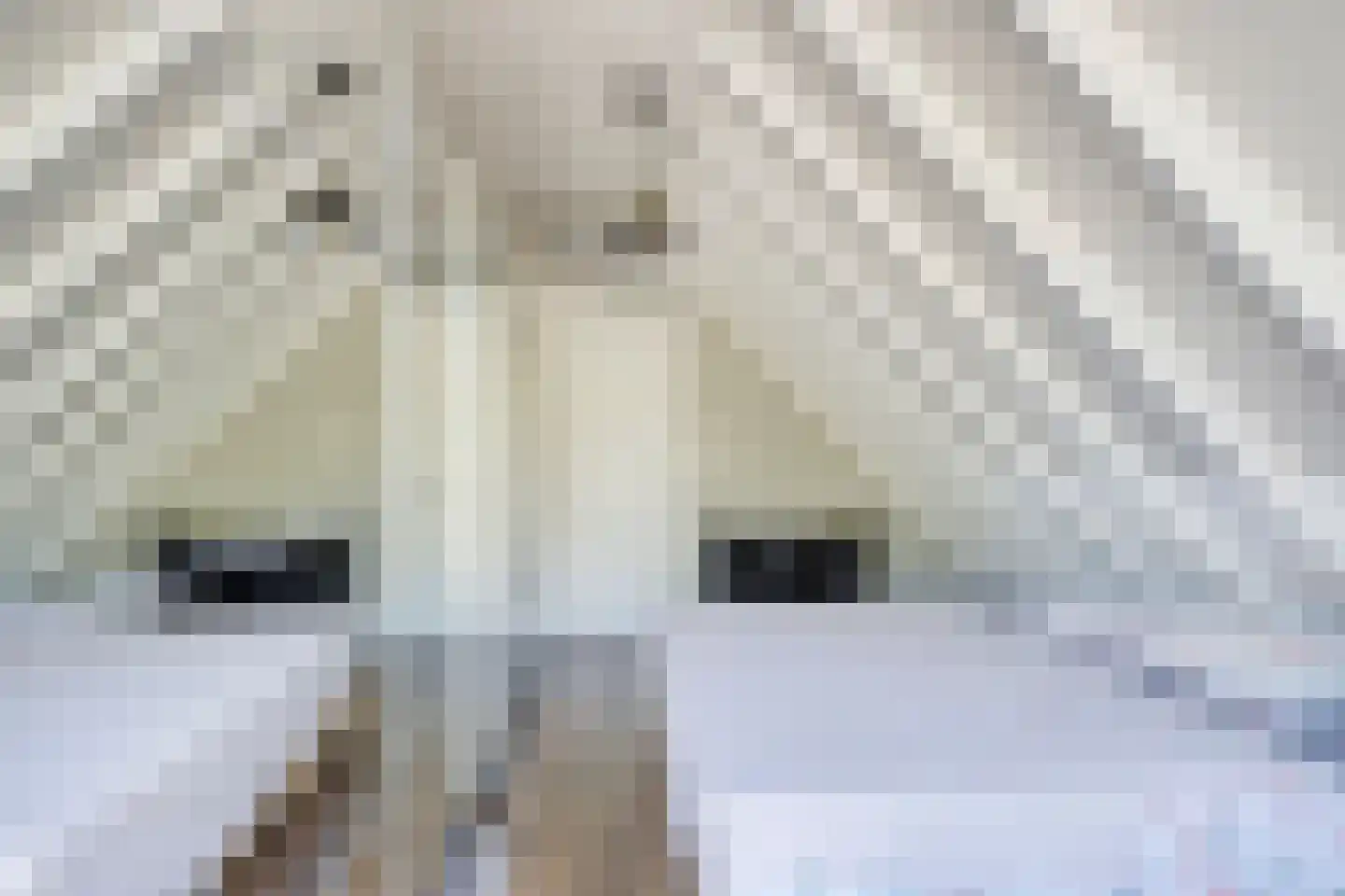 Rubenslaan 8 Monster thumbnail 17