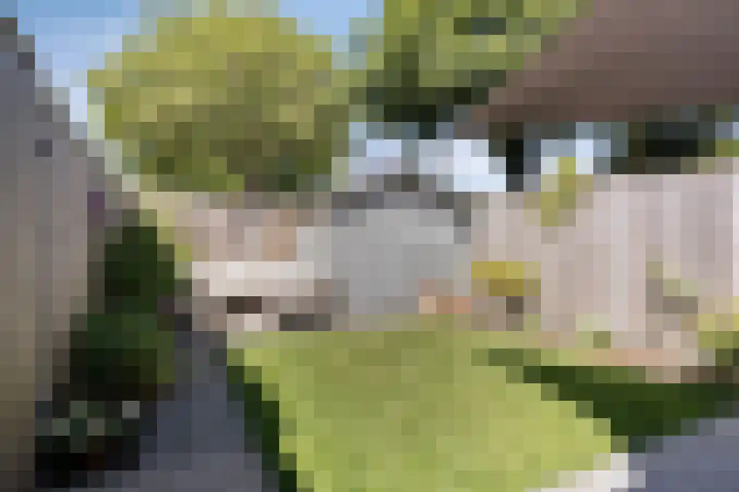 Rubenslaan 8 Monster thumbnail 23