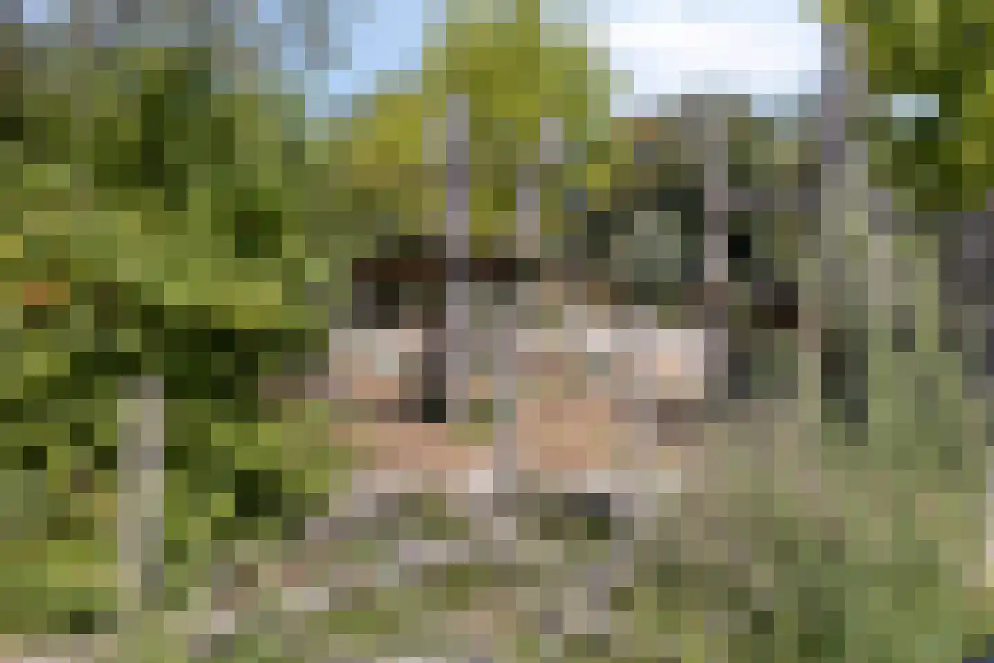 Rubenslaan 8 Monster thumbnail 28