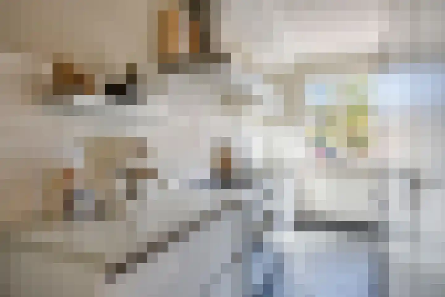 Rubenslaan 8 Monster thumbnail 9
